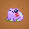 Kissed Frog #13448
