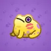 Kissed Frog #13480