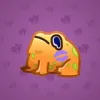 Kissed Frog #2622