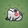 Kissed Frog #6602