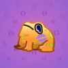Kissed Frog #8730