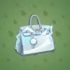 Loot Bag #13437