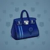 Loot Bag #13707