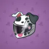 Neko Helmet #10465