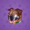 Neko Helmet #10862