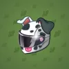 Neko Helmet #11006