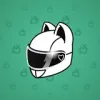 Neko Helmet #11456