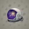 Neko Helmet #1219