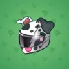 Neko Helmet #12257
