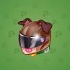 Neko Helmet #12368