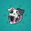 Neko Helmet #12746