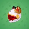 Neko Helmet #12749