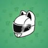 Neko Helmet #1347