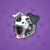 Neko Helmet #13512
