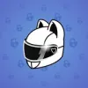 Neko Helmet #13699