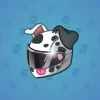 Neko Helmet #13900