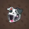 Neko Helmet #13971
