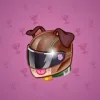Neko Helmet #14525