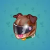 Neko Helmet #14539