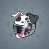 Neko Helmet #1455