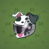 Neko Helmet #1604