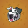 Neko Helmet #2270