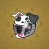 Neko Helmet #2381