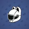 Neko Helmet #248