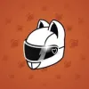 Neko Helmet #2501