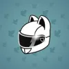 Neko Helmet #2579