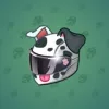 Neko Helmet #2871