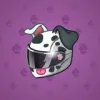 Neko Helmet #3167