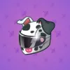 Neko Helmet #3408