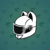 Neko Helmet #3433