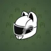 Neko Helmet #3972