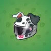 Neko Helmet #4233