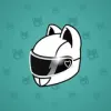 Neko Helmet #4269