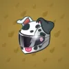 Neko Helmet #4353