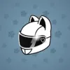 Neko Helmet #4383