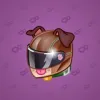 Neko Helmet #4507