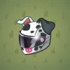 Neko Helmet #4775
