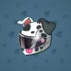 Neko Helmet #4964