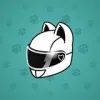 Neko Helmet #5202