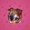 Neko Helmet #5589