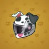 Neko Helmet #560