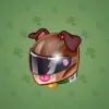 Neko Helmet #5726