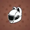 Neko Helmet #5849