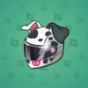 Neko Helmet #5887