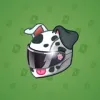 Neko Helmet #6501