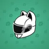 Neko Helmet #6513